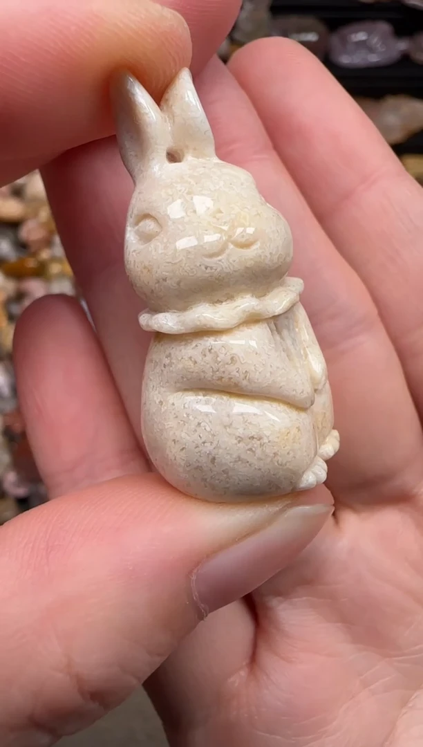 硅化珊瑚（珊瑚玉）未镶嵌颈饰427