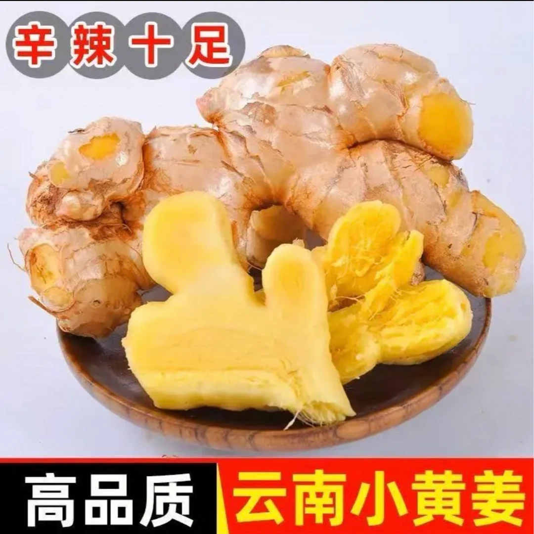云南小黄姜高山老姜新鲜浓郁辛辣精选老姜香味浓郁【有坏包赔】