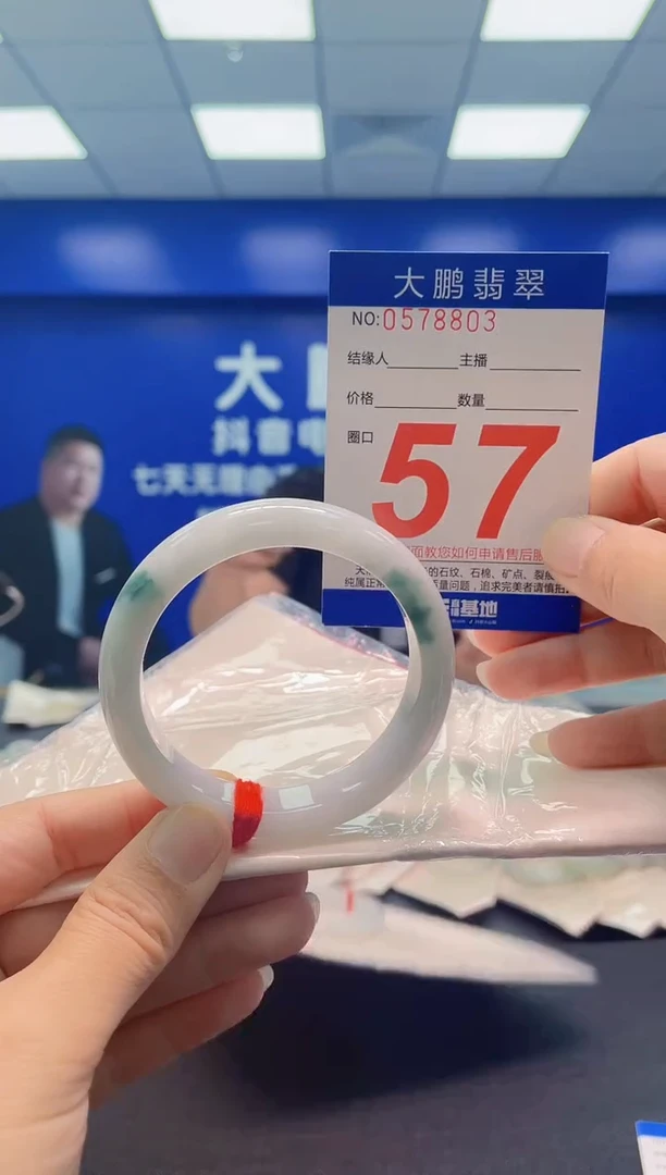 未镶嵌手镯翡翠AAAAAAAAA