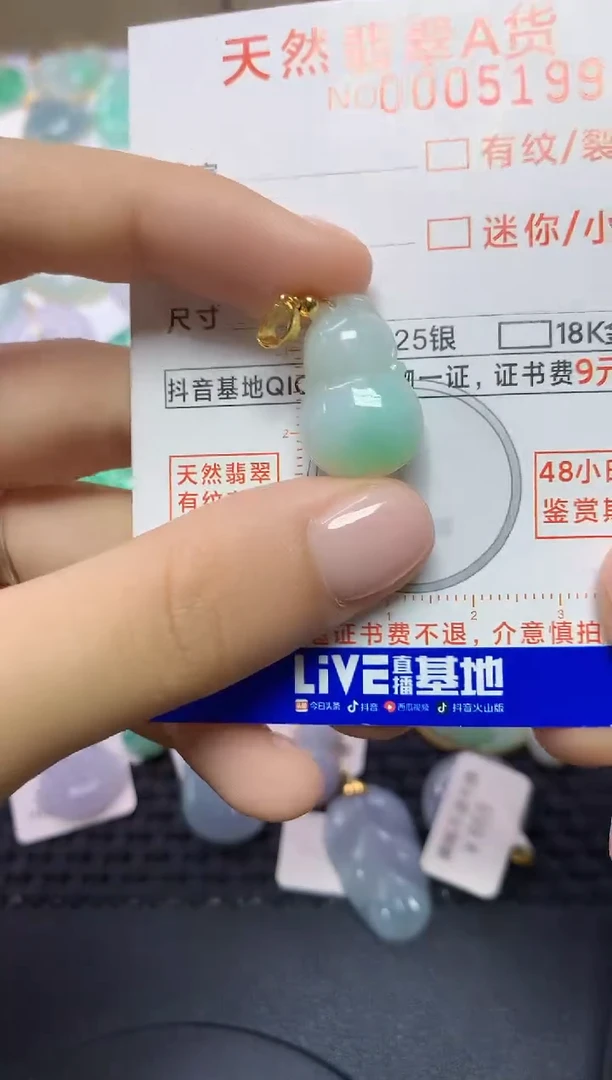 翡翠未镶嵌颈饰453453453