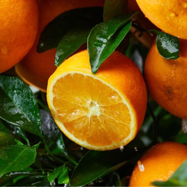赣南脐橙早橙原产地直发5斤