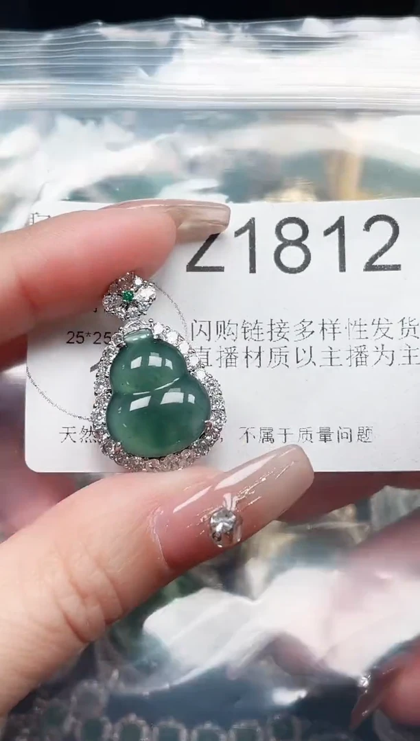 【闪购商品】翡翠颈饰未镶嵌赠皮绳1812