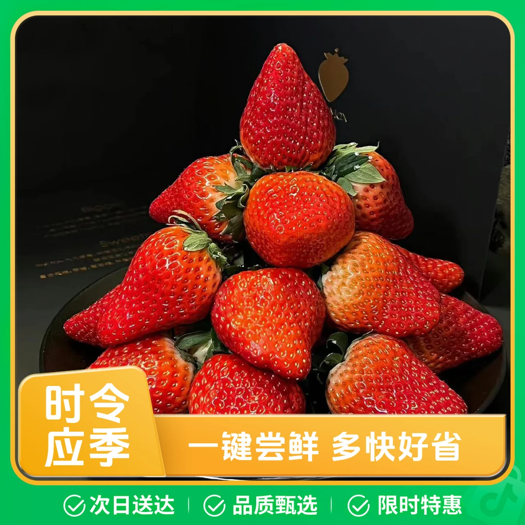 【东北可发】丹东老马岗九九奶油草莓2斤畸形果  顺丰包邮次日送达99草莓中国大陆