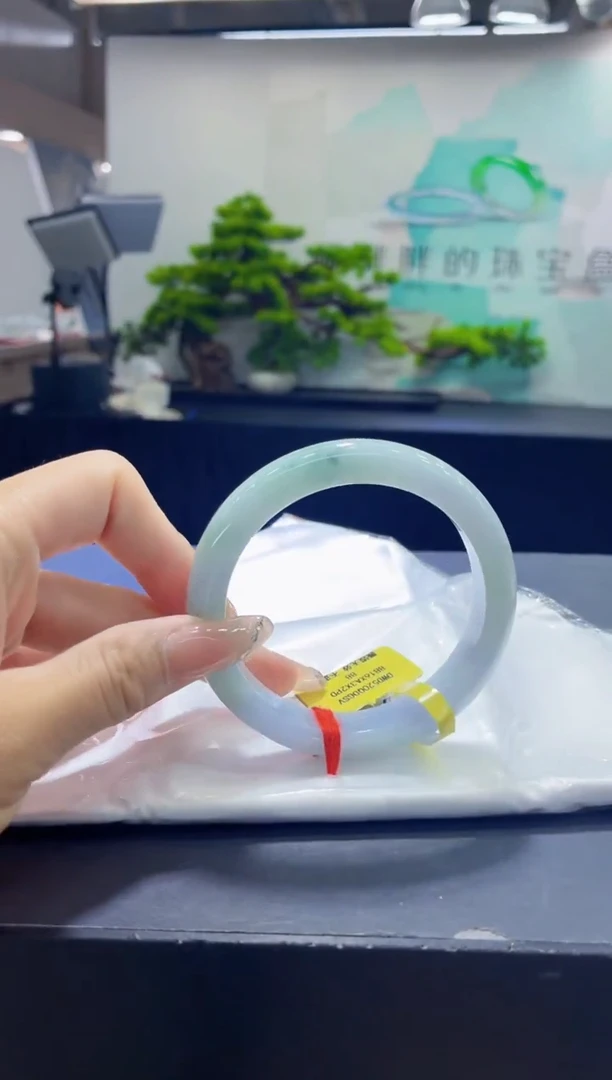 未镶嵌手镯翡翠2