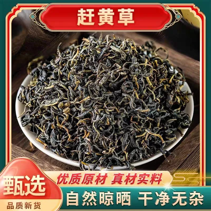 赶黄草 茶高山地道赶黄草嫩芽 古蔺正宗赶黄茶  泡水冲茶另售枸杞