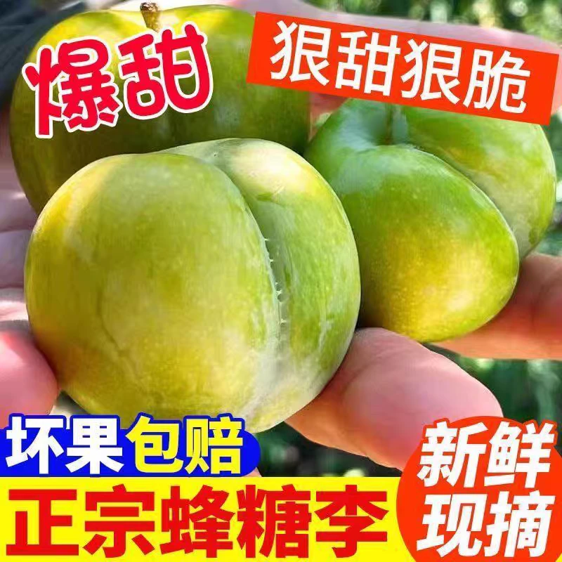 【不甜包赔】正宗六马蜂糖李子纯甜无酸京东空运次日送到当季水果