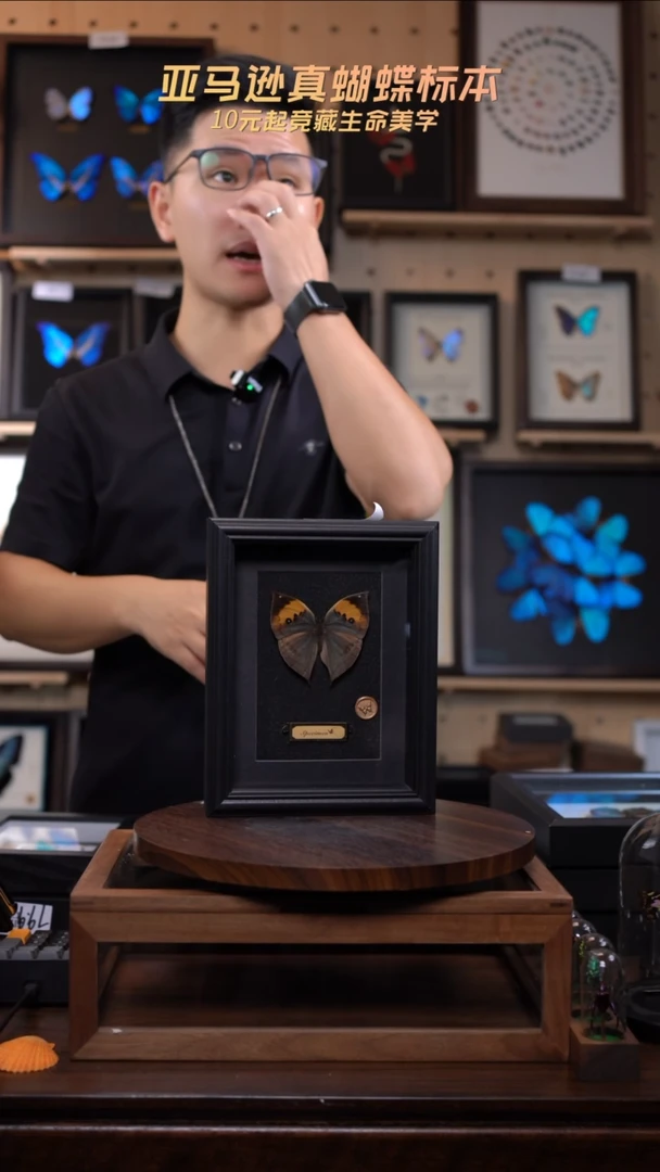 枯叶蝶新版本黑框