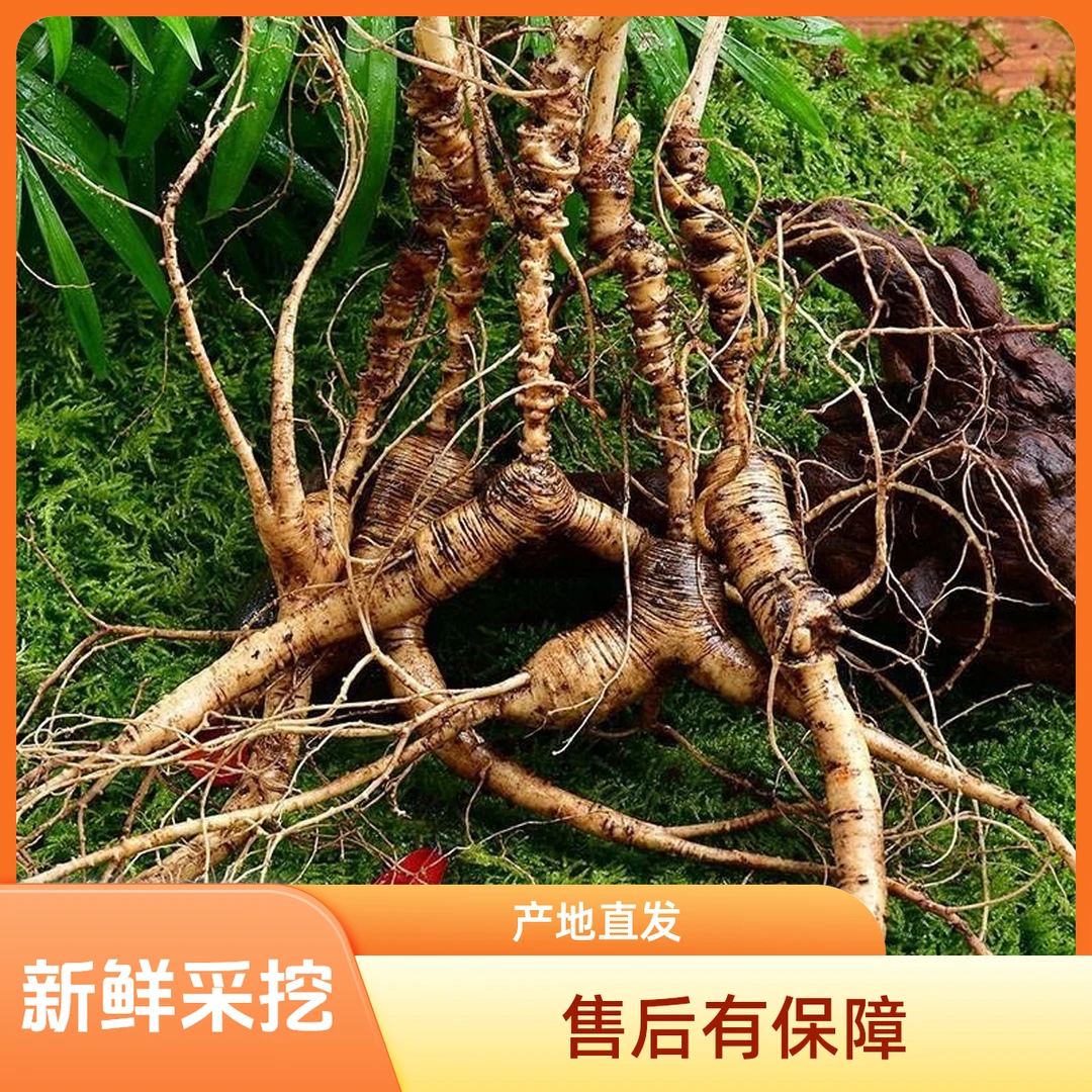 鸿运长白山林下参 长白山鲜人参改价链接一物一拍 直播间实物为准