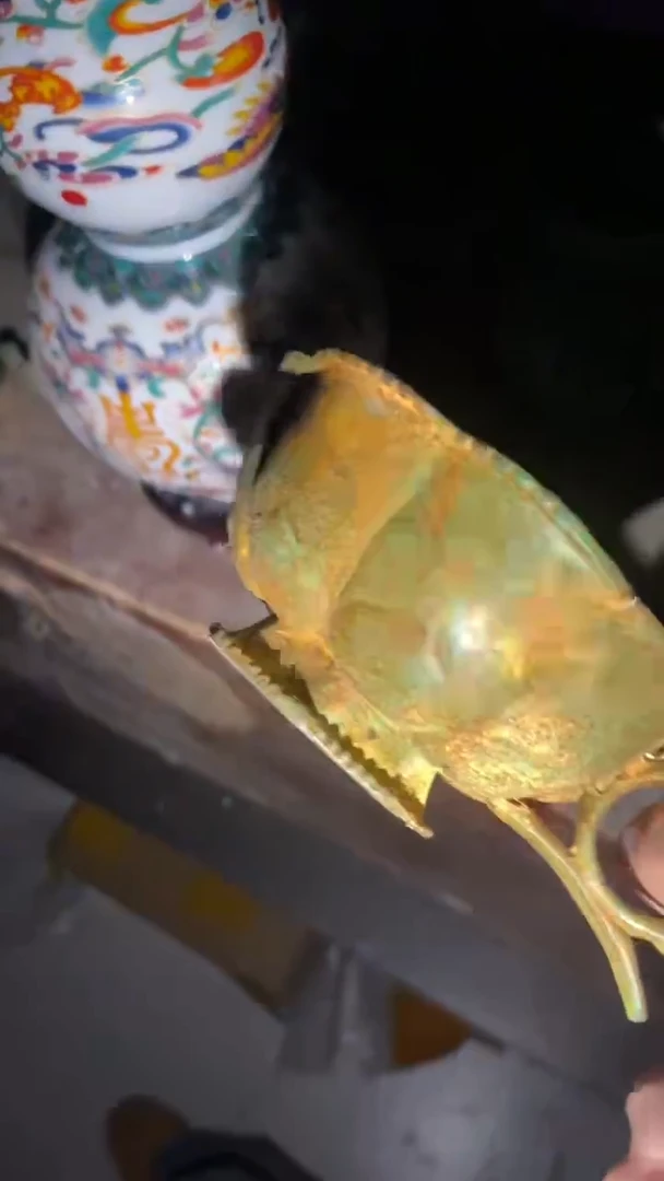 老物件孤品闪拍链接