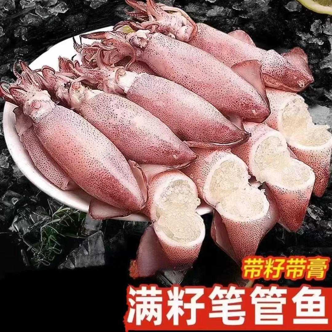 笔管鱼         特大全籽籽乌满籽海兔子鱿鱼仔新鲜