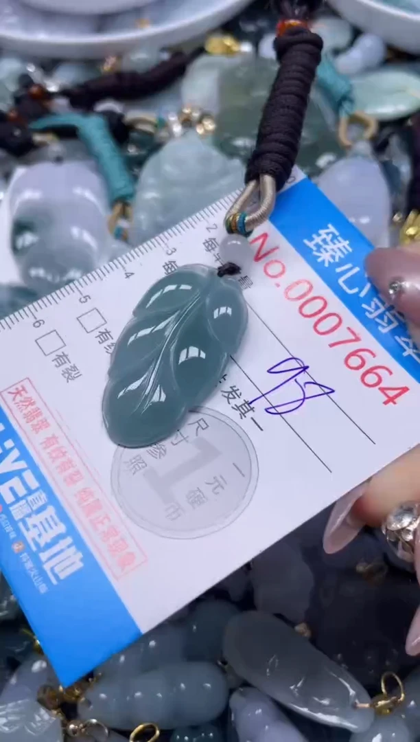 颈饰未镶嵌翡翠7664