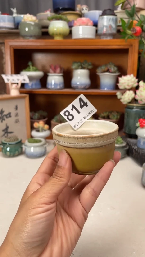 瓷片814知木小芳花盆