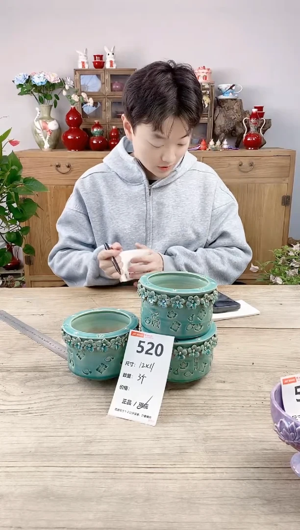 晴好园艺直播编号520