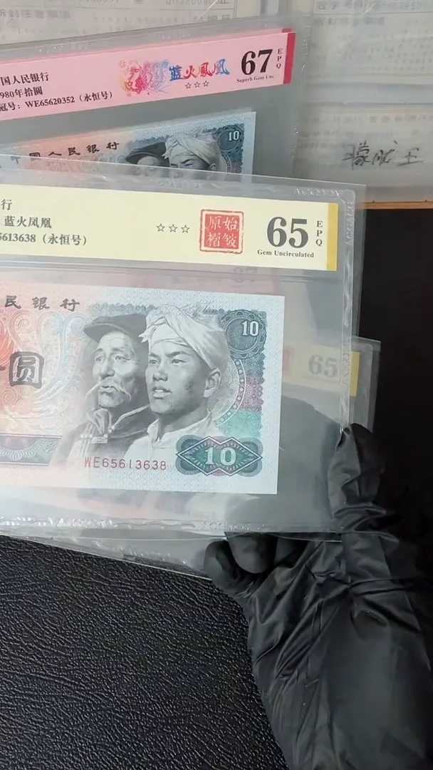 【闪购商品】8010蓝火凤凰褶皱65613638