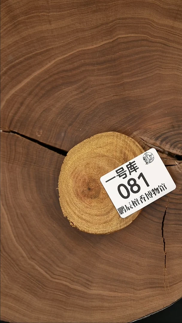 檀香木其他原木切片35克-1号081