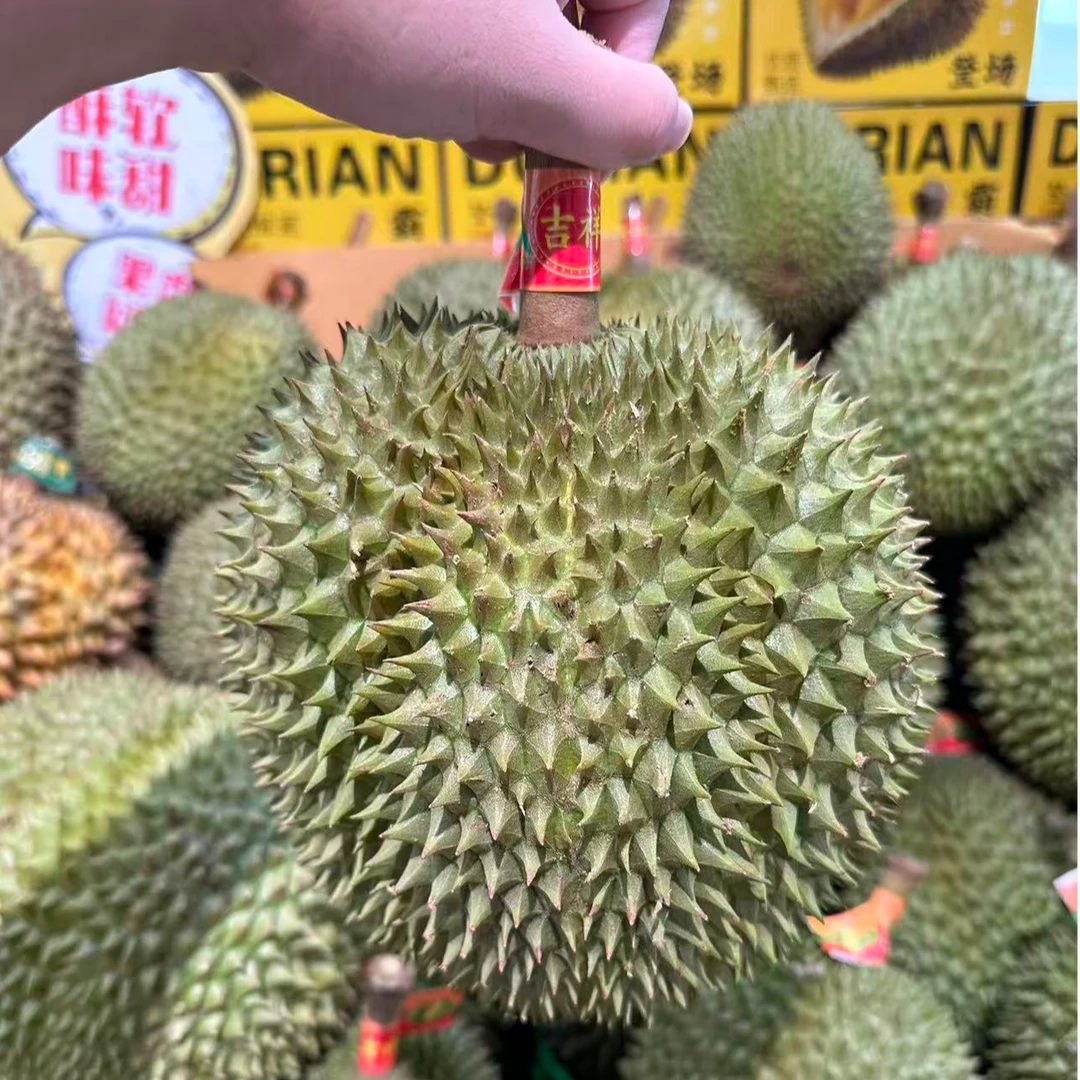 新鲜奶油猫榴莲核小（一果一重）猫山王越南