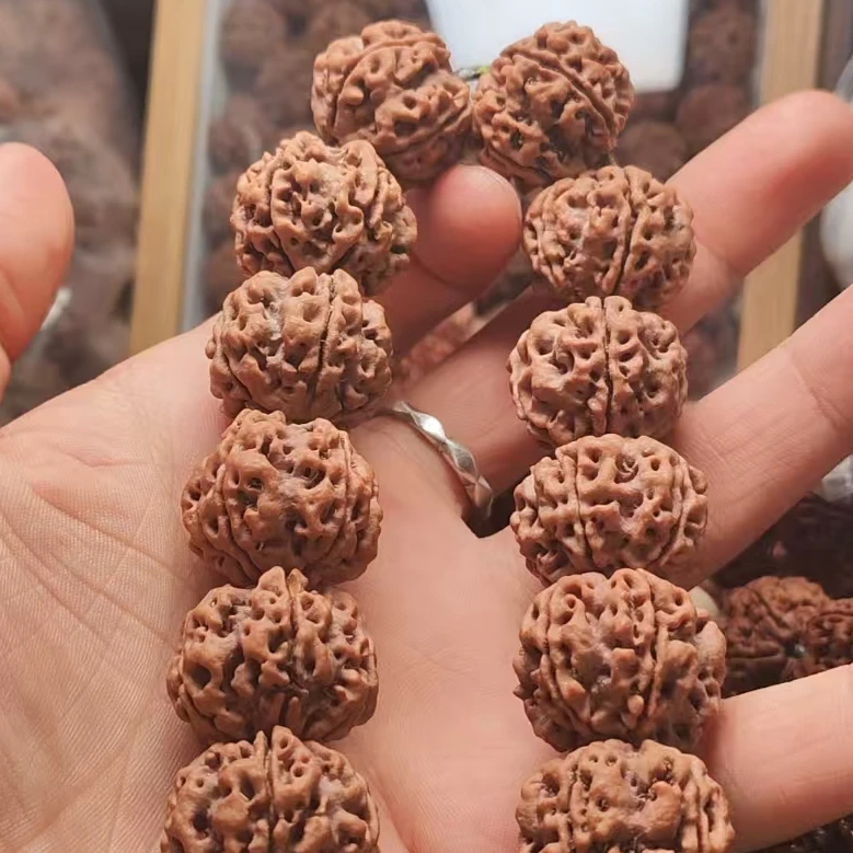 原生态大金刚拉勾梅花