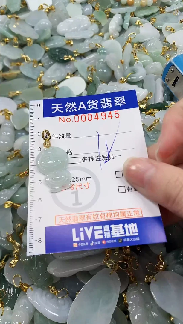 颈饰未镶嵌翡翠纯天然a货翡翠