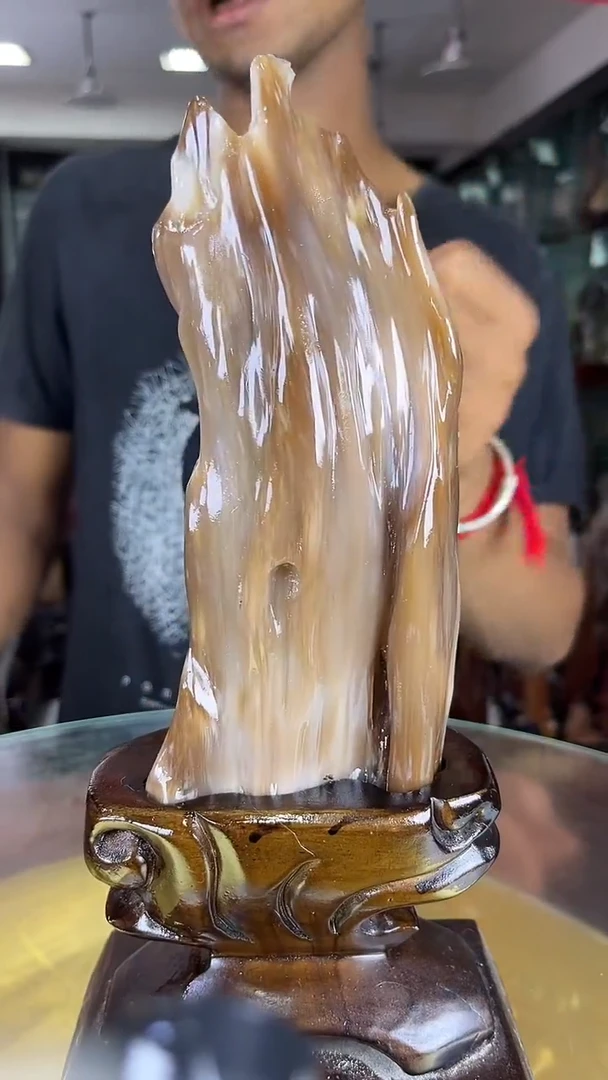 未镶嵌珠宝奇石硅化玉缅甸天然树化玉摆件