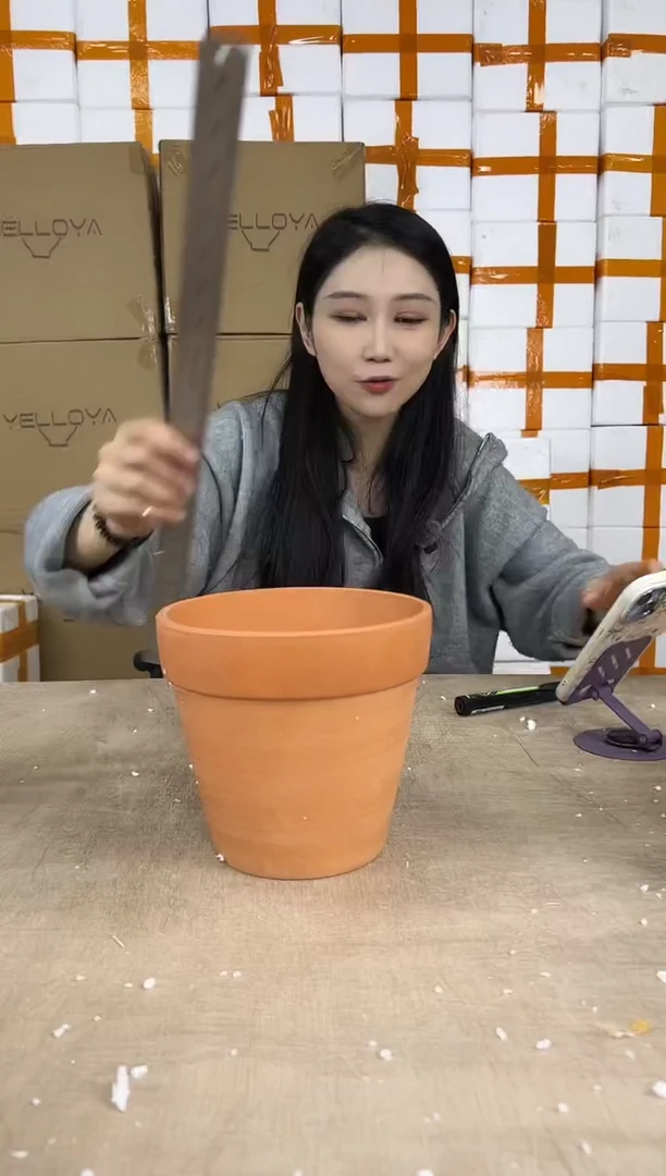 花盆花盆中号12.29--8