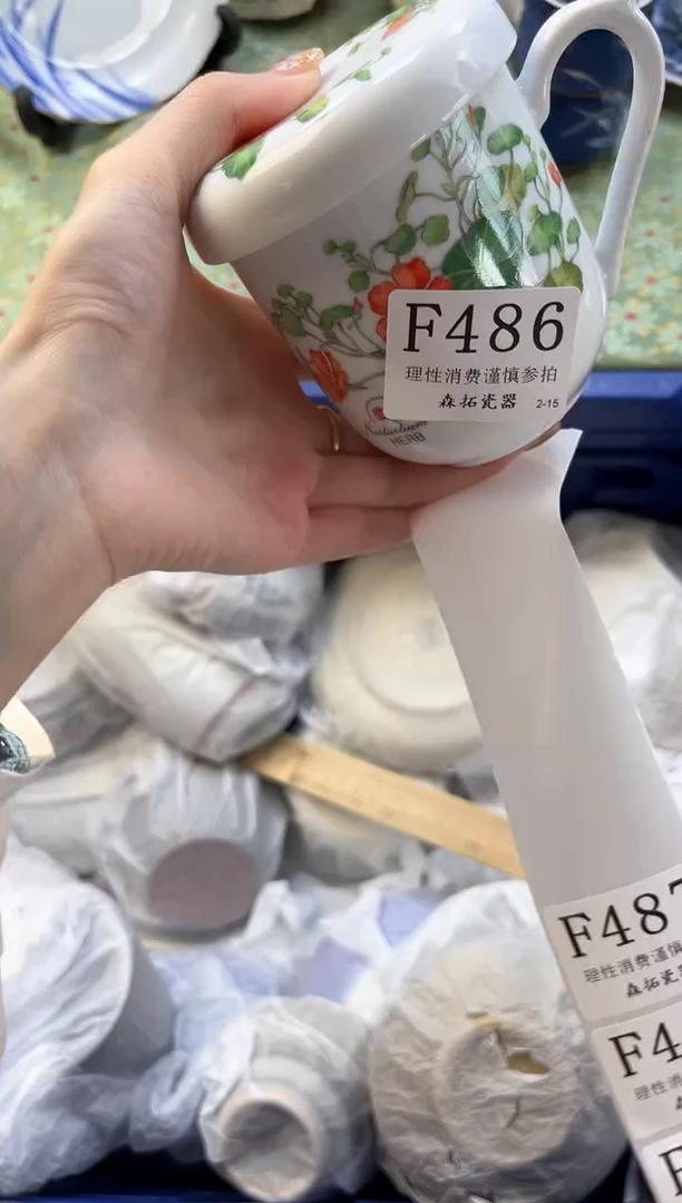 【闪购商品】瓷片          F486
