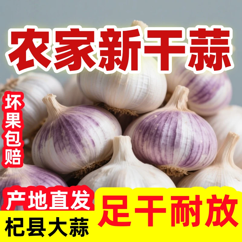新干蒜杞县大蒜原产地直发5斤包邮正宗紫皮干蒜头可吃可种2025年