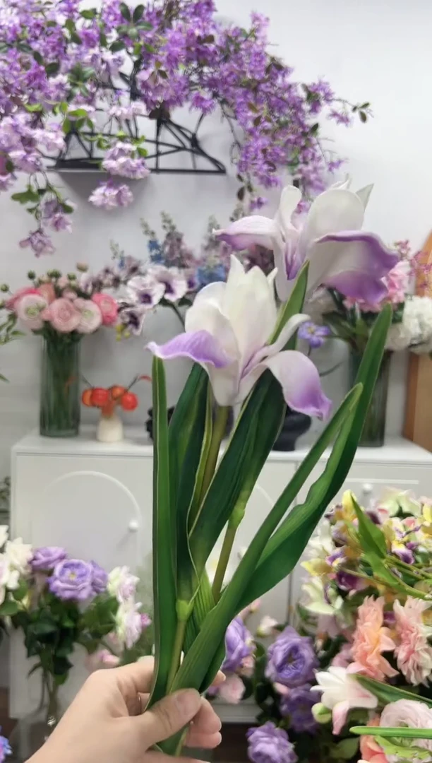 2枝紫色鸢尾花花