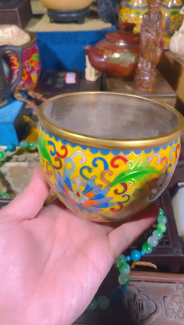 黄杨木11111111111111111111