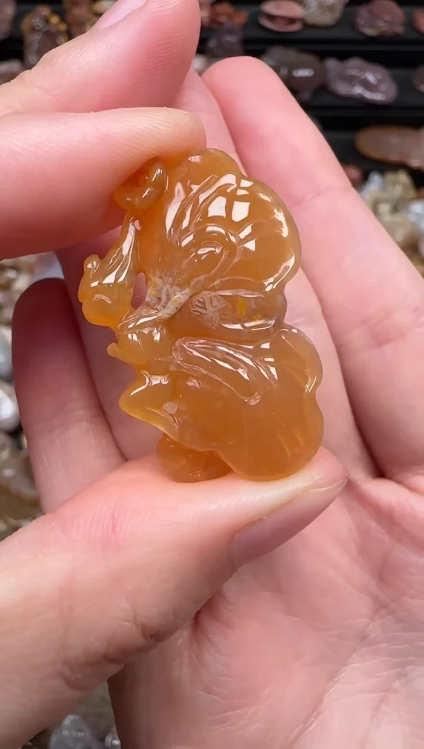 颈饰未镶嵌硅化珊瑚（珊瑚玉）377