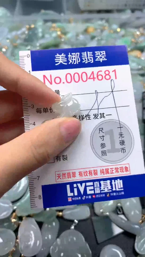 颈饰未镶嵌翡翠4681
