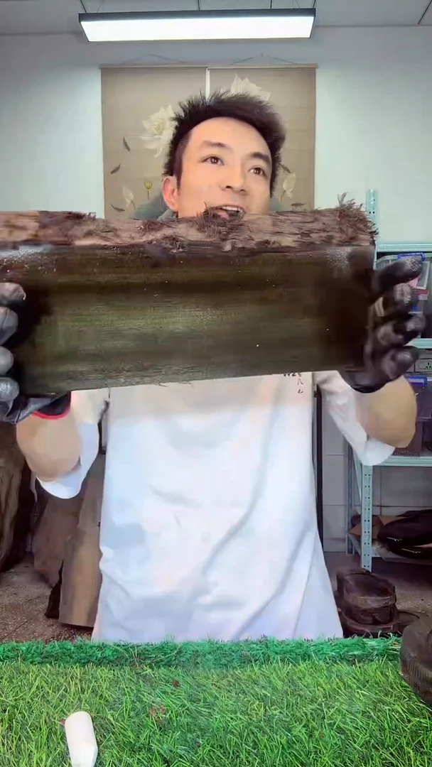 金丝楠小叶祯楠503