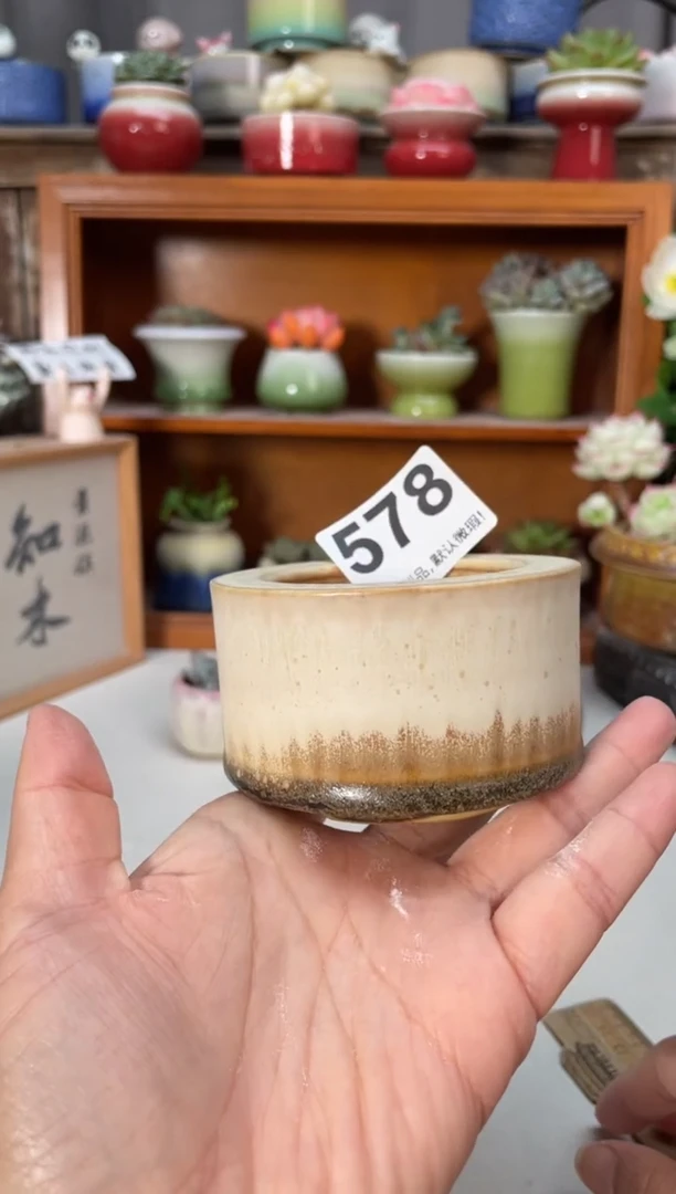 瓷片578知木小芳花盆