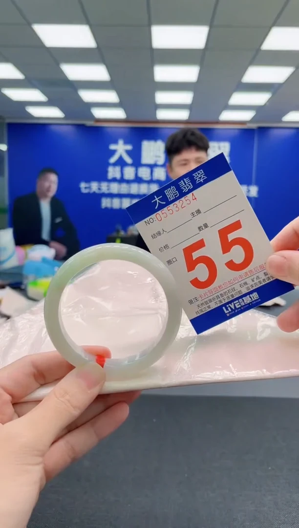 未镶嵌手镯翡翠AAAAAAAAA