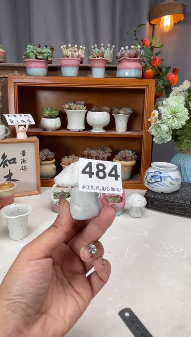 瓷片484小芳直播编号