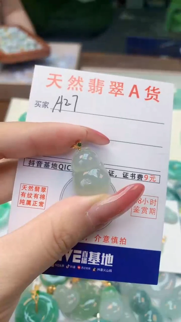 颈饰未镶嵌翡翠天然A货翡翠挂件