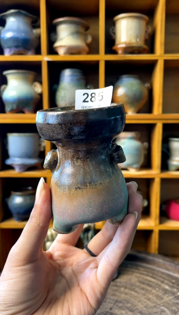 285【多肉花盆多肉盆】