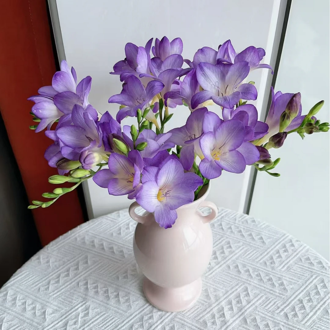 香雪兰紫（季节性香花）8-10枝