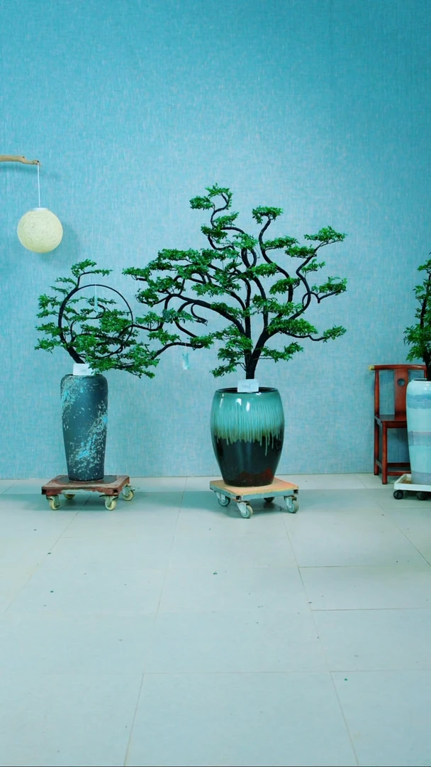 完全开放绥****楠广东小叶紫檀