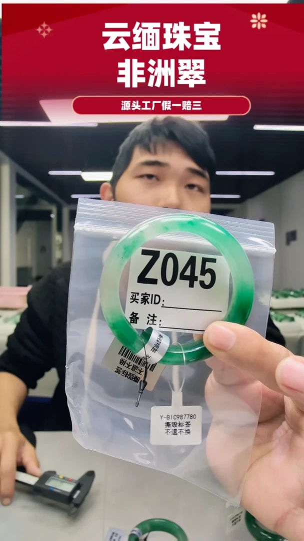 未镶嵌手镯石英质玉（非洲翠）55圈口Z045