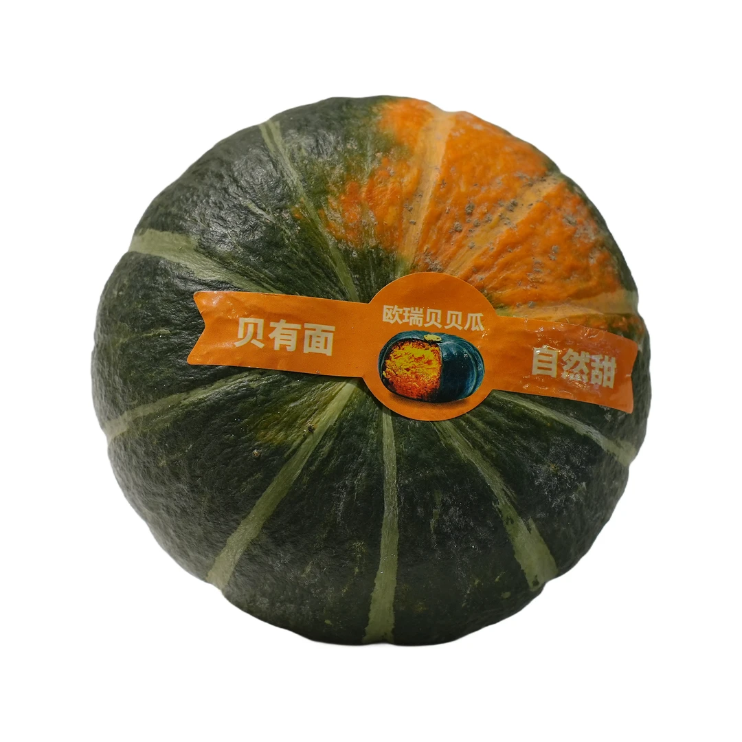 小黑贝窝瓜600g左右