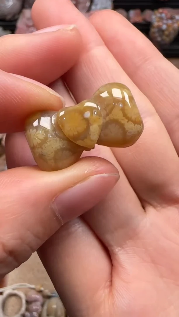 【闪购商品】硅化珊瑚（珊瑚玉）颈饰未镶嵌283