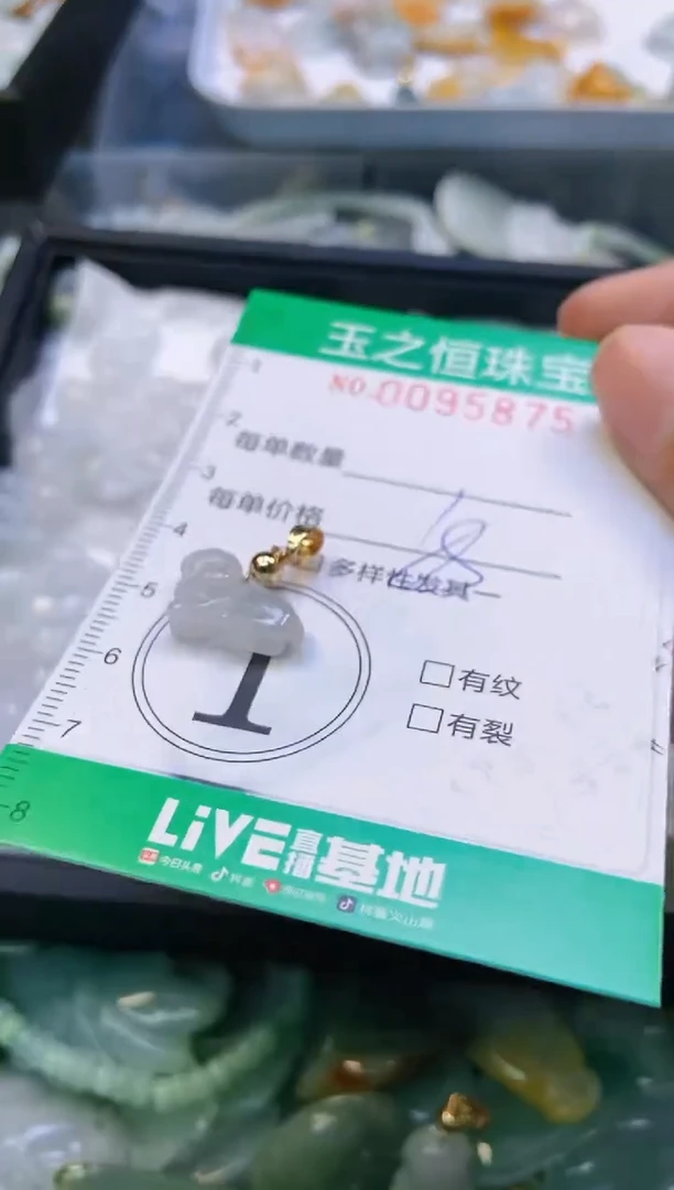 翡翠未镶嵌颈饰闪购0095875