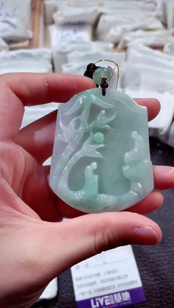 翡翠未镶嵌颈饰00000691