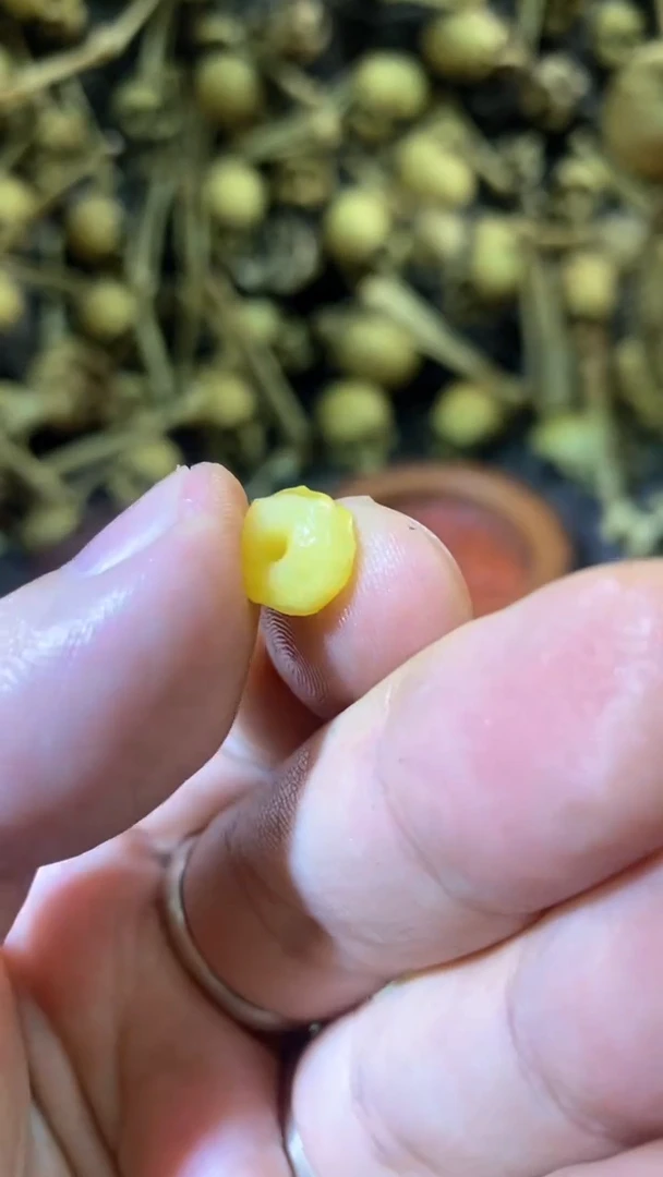 【闪购商品】琥珀颈饰未镶嵌63蜜蜡无相隔珠卡子