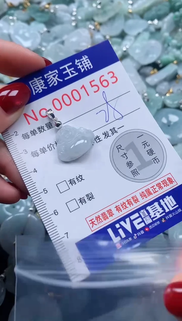 颈饰未镶嵌翡翠1563
