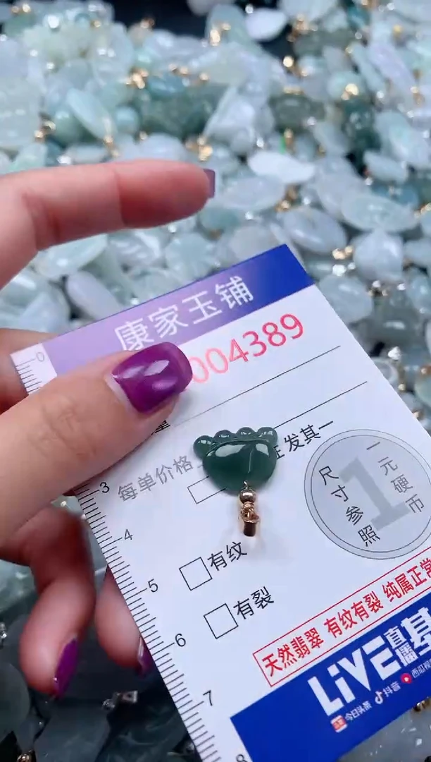 颈饰未镶嵌翡翠4389