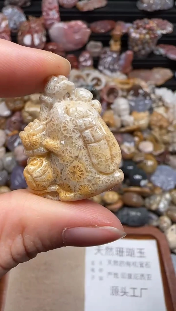 【闪购商品】硅化珊瑚（珊瑚玉）颈饰未镶嵌685