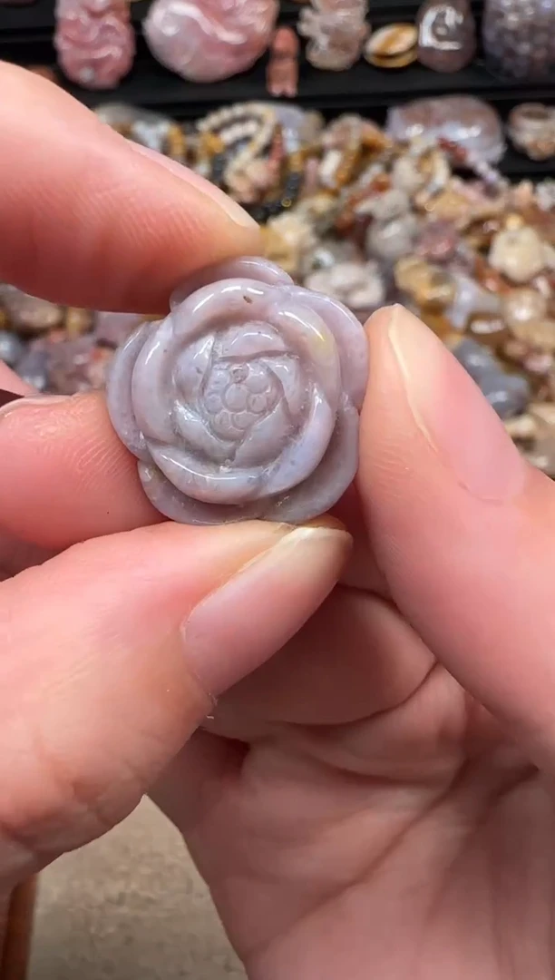 颈饰未镶嵌硅化珊瑚（珊瑚玉）540