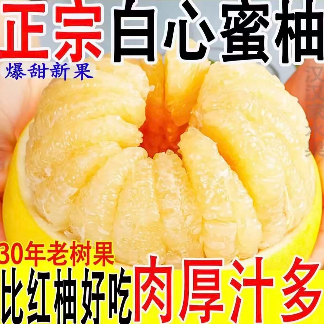 白金奶糖柚子蜜柚 水晶甜蜜柚8.5-9斤【现摘现发】