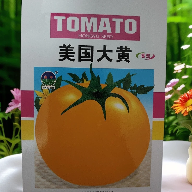 大黄沙瓤柿子籽（300粒左右）